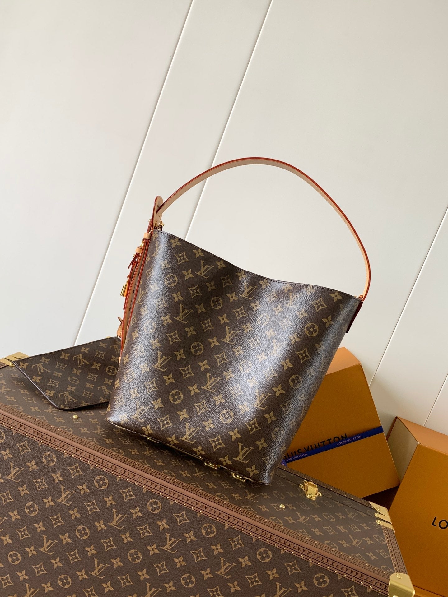 LV Tote Bag