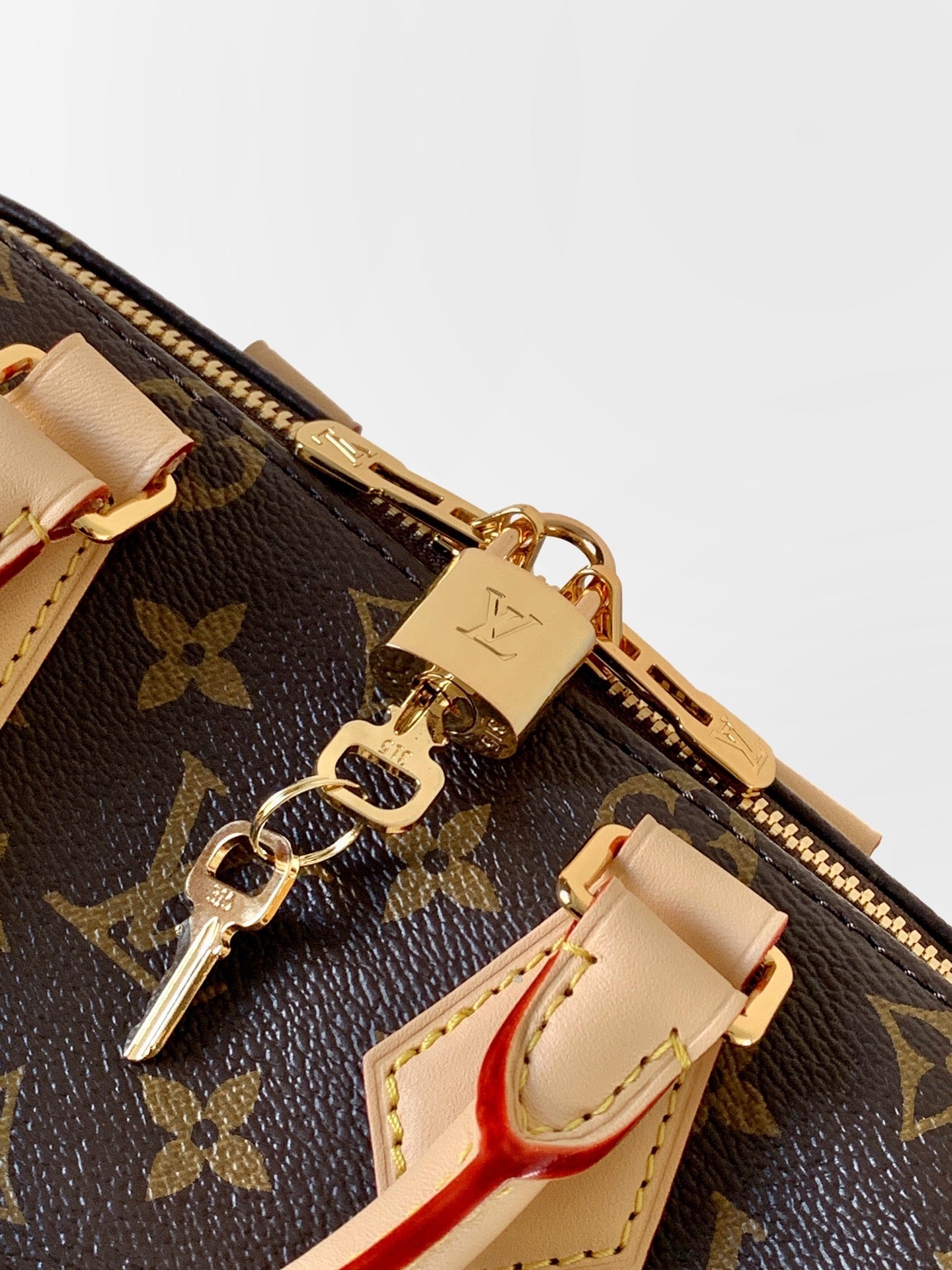 LV Handbag
