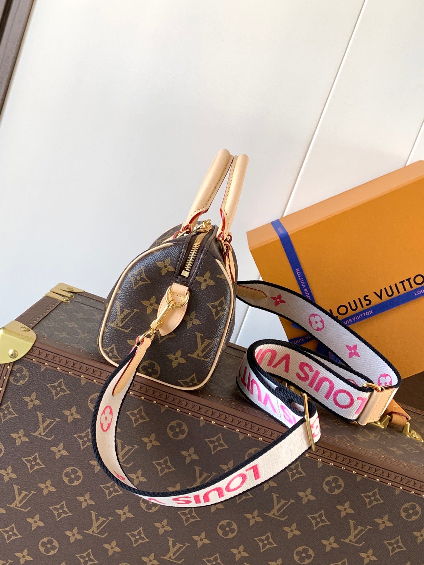 LV Handbag